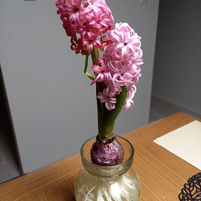 yachukoさんの部屋
