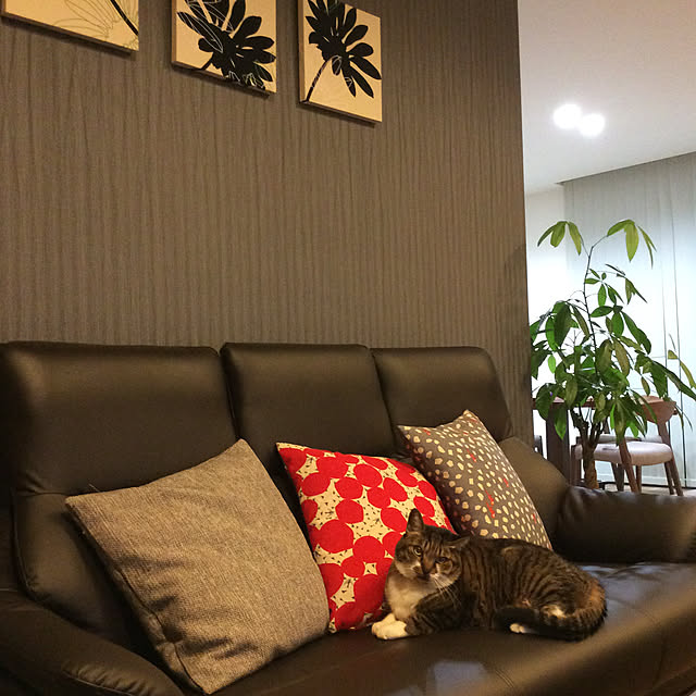 houenさんの実例写真