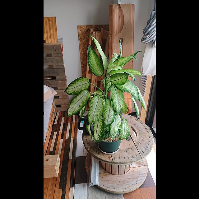 kenapa0430さんの実例写真