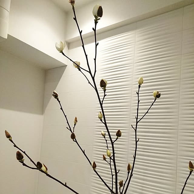 壁/天井のインテリア実例 - 2017-04-09 17:32:35