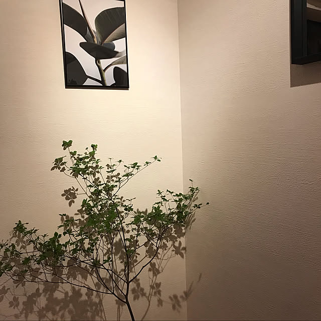 pinopinoさんの実例写真