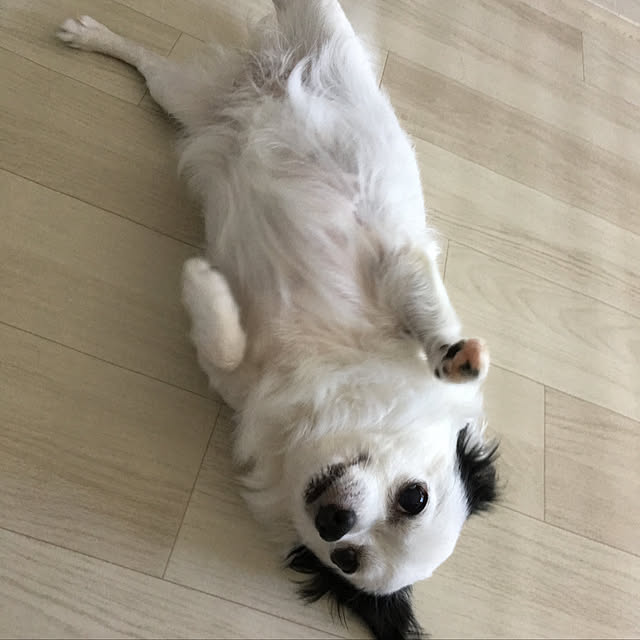 ohanaさんの実例写真