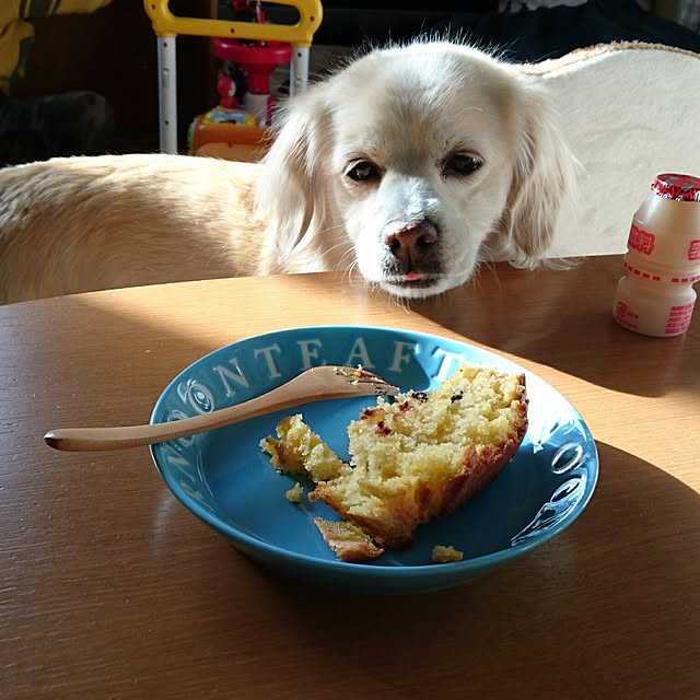 Maiさんの実例写真