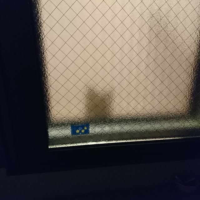 poniさんの実例写真