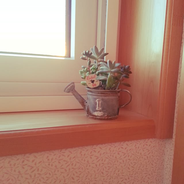 meguさんの実例写真