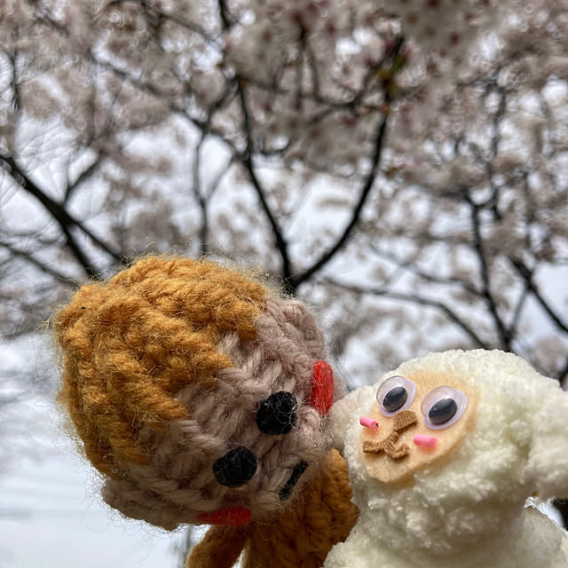 manduonmaさんの実例写真