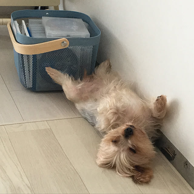 ohanaさんの実例写真