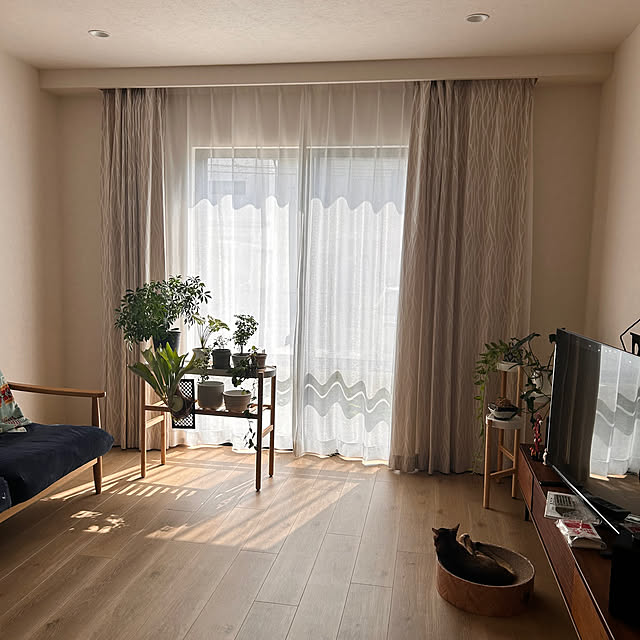 lucianoさんの実例写真