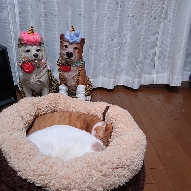 NOAHさんの実例写真