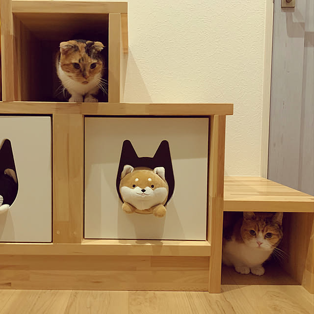 mamekinaさんの実例写真