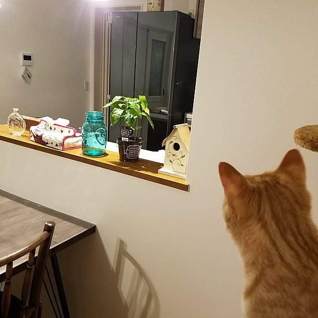C.Tさんの実例写真