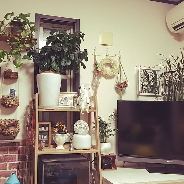 chizuruさんの実例写真
