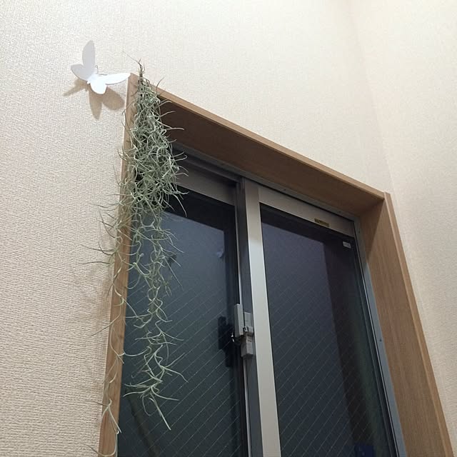 XYLITOLさんの実例写真