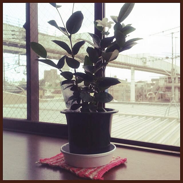chatoさんの実例写真