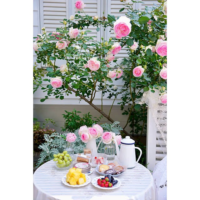 haruisabelさんの部屋