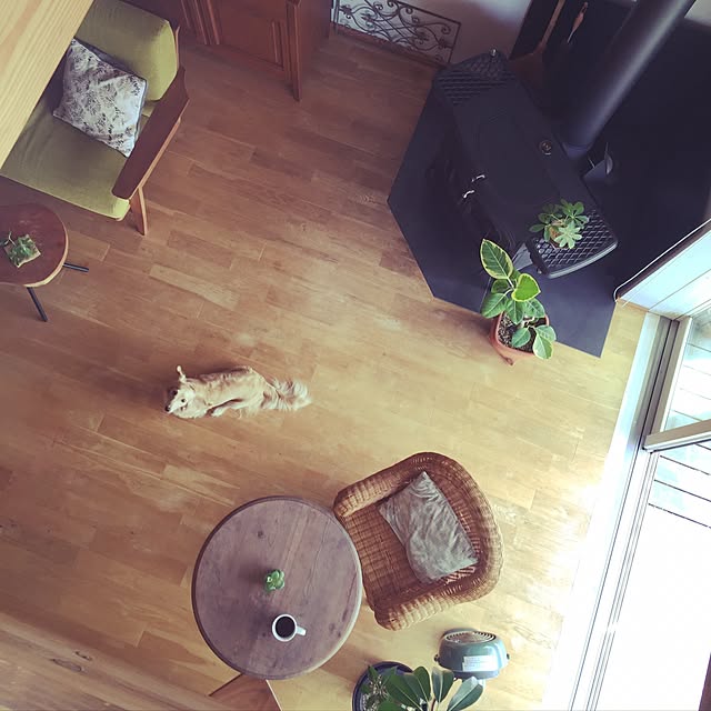 yukariさんの実例写真