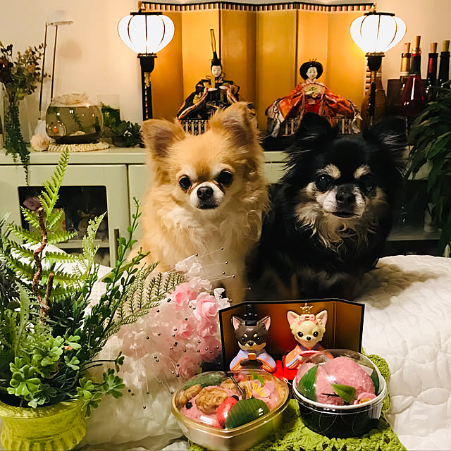 molpieさんの実例写真