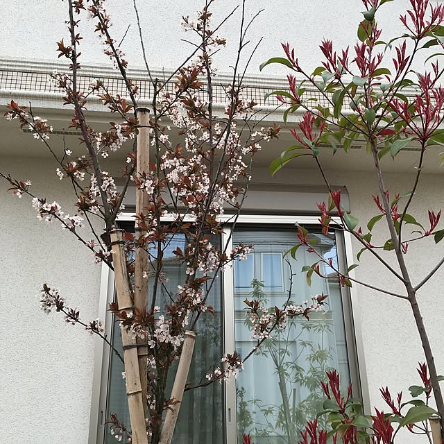 KayokoMishimaさんの実例写真