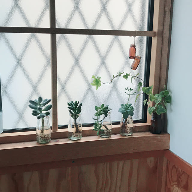 実例写真