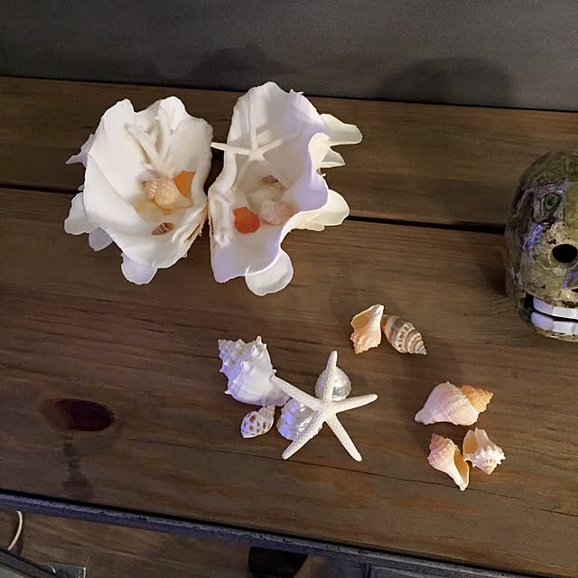 kaisou_sさんの実例写真