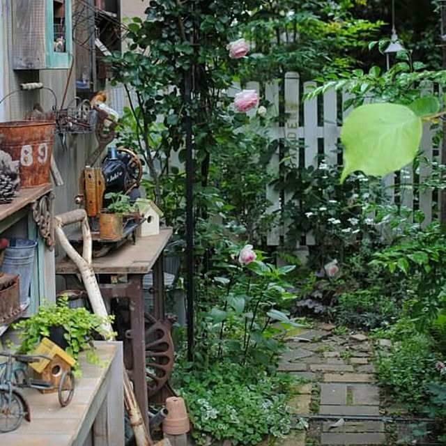 実例写真