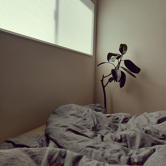 jjさんの実例写真