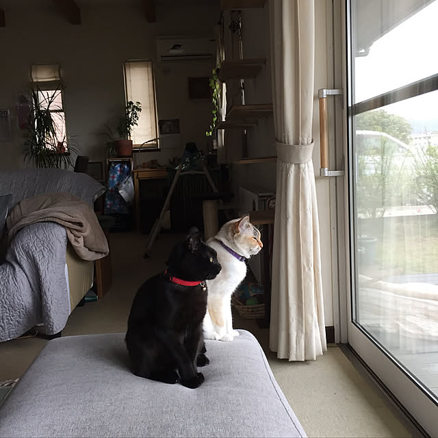 nanaさんの実例写真