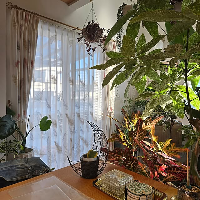 nonbiri_house_さんの部屋