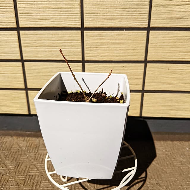 kogamiさんの部屋