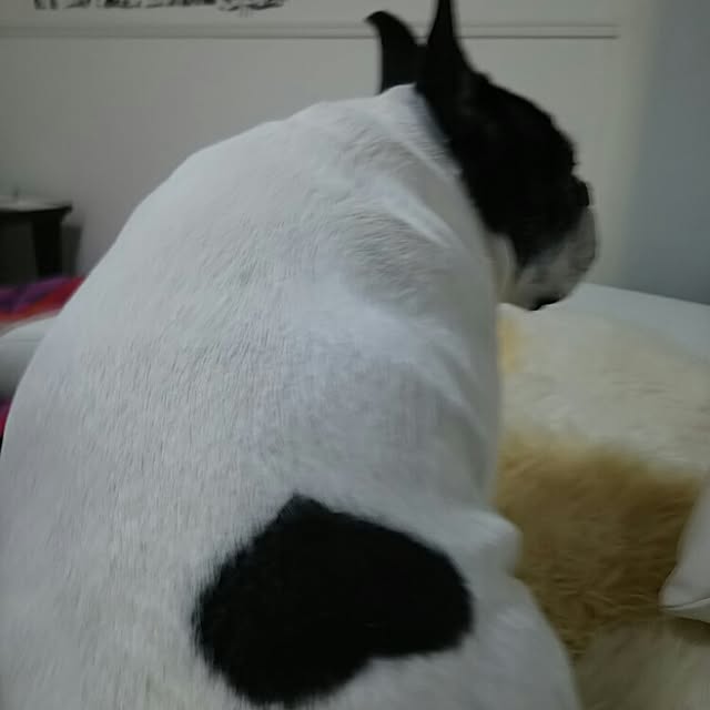 AandPさんの実例写真