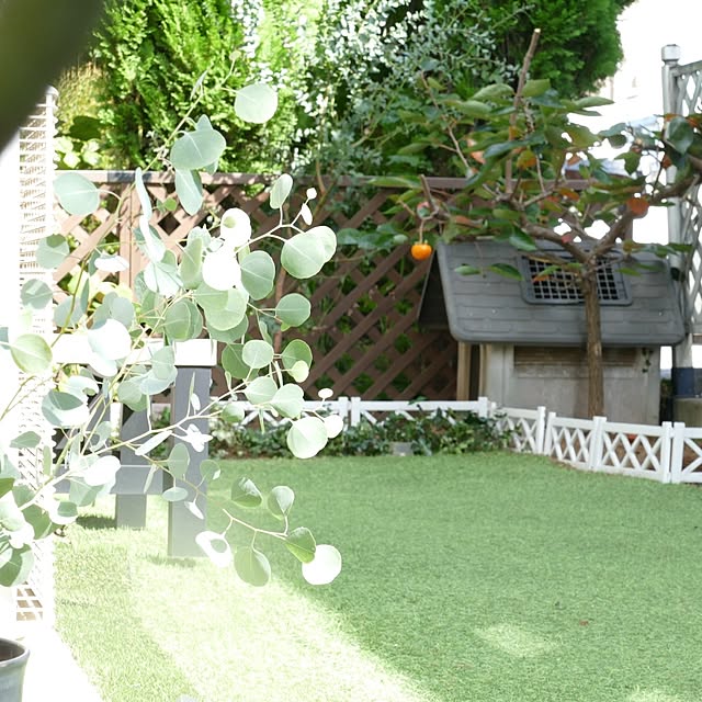 ya_maさんの部屋