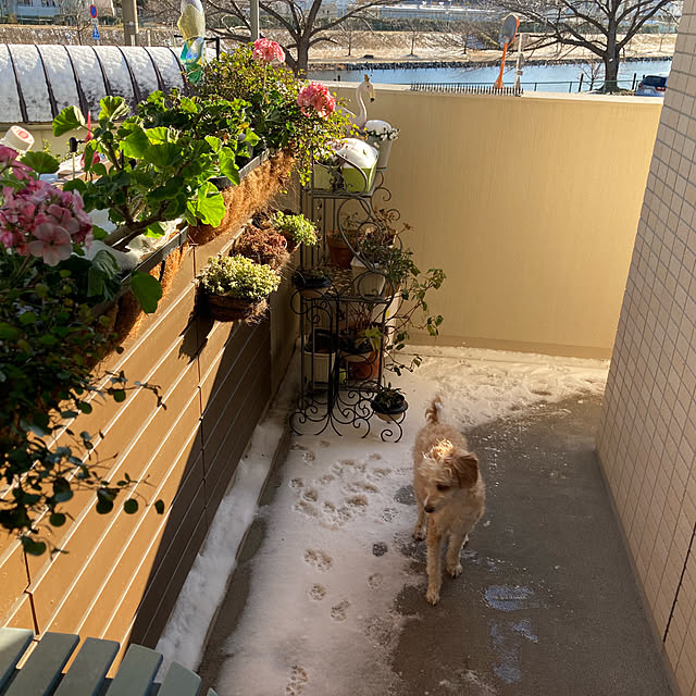 marukoさんの部屋