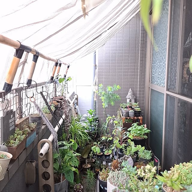noaさんの部屋