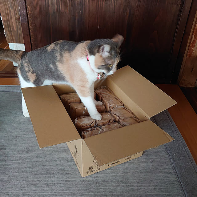 fukuさんの実例写真