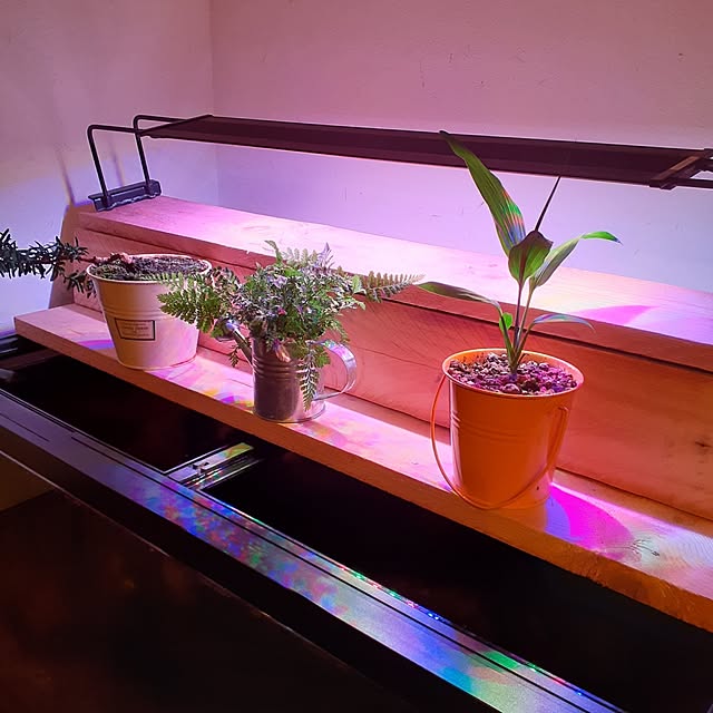 lonさんの部屋