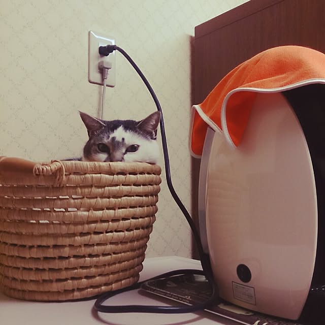 furlaさんの実例写真