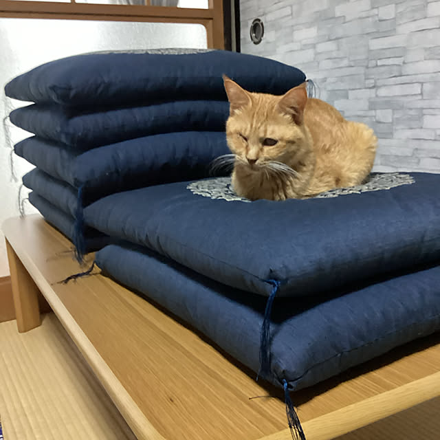 conatuさんの実例写真