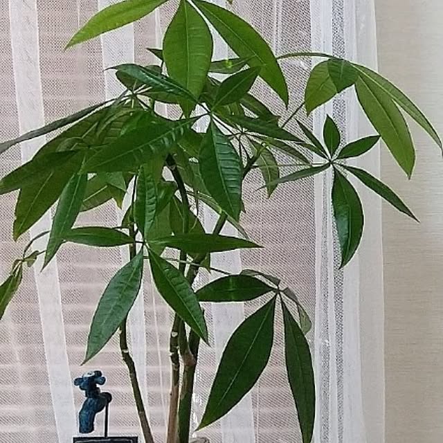 meiさんの部屋