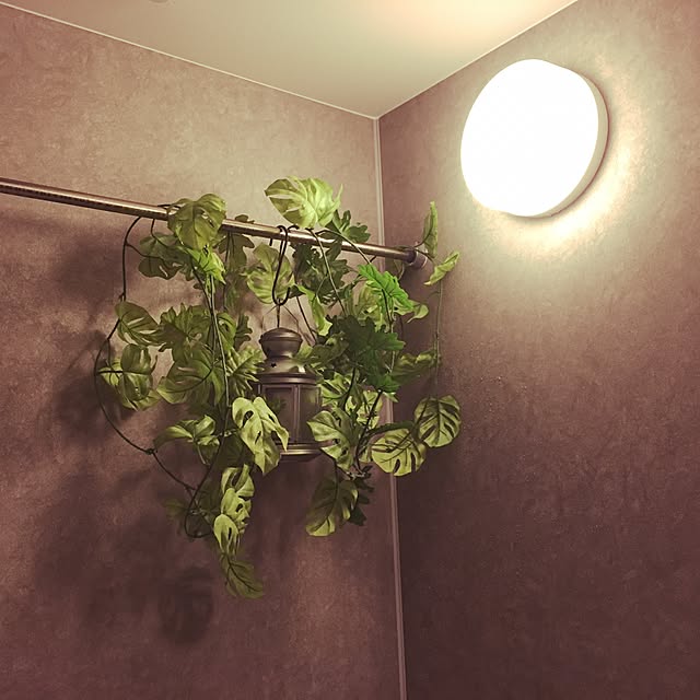 Masakoさんの実例写真