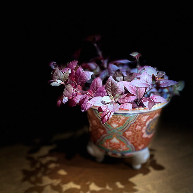 buchiさんの実例写真