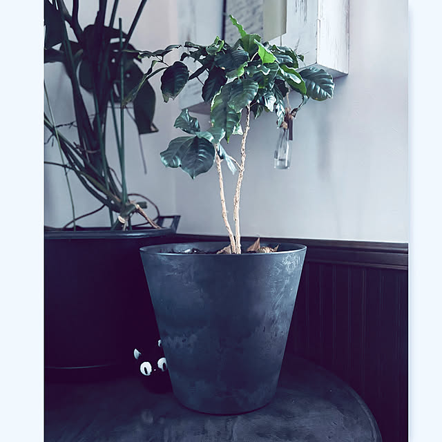 usagiさんの部屋