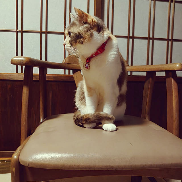 fukuさんの実例写真