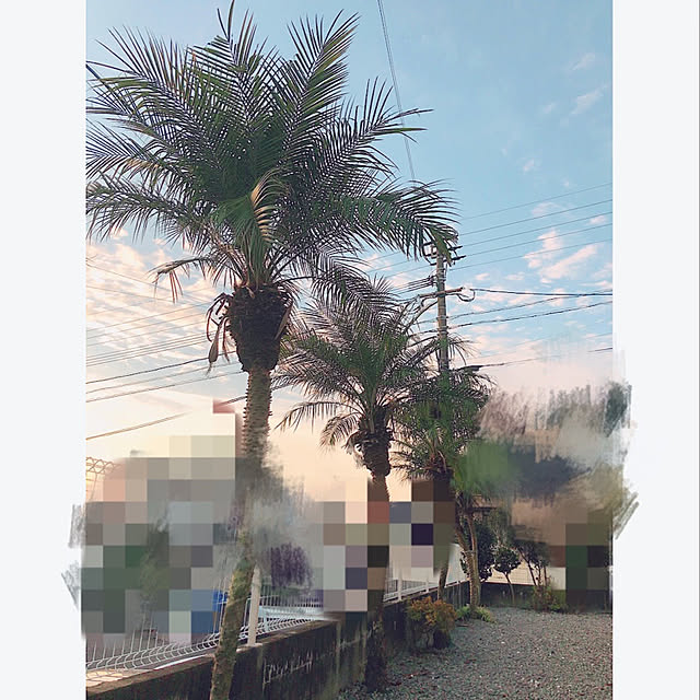 izuさんの実例写真