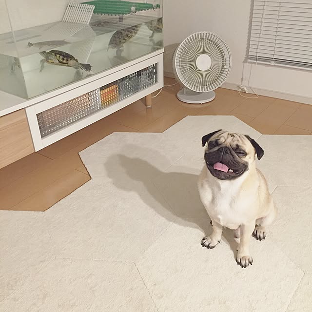 YUIさんの実例写真