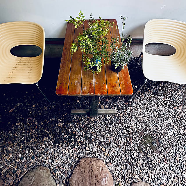 chacoさんの部屋