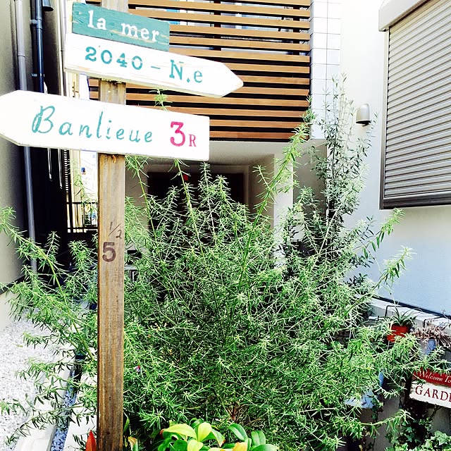 aya_oikawaさんの実例写真
