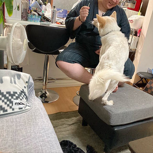 cheminさんの実例写真