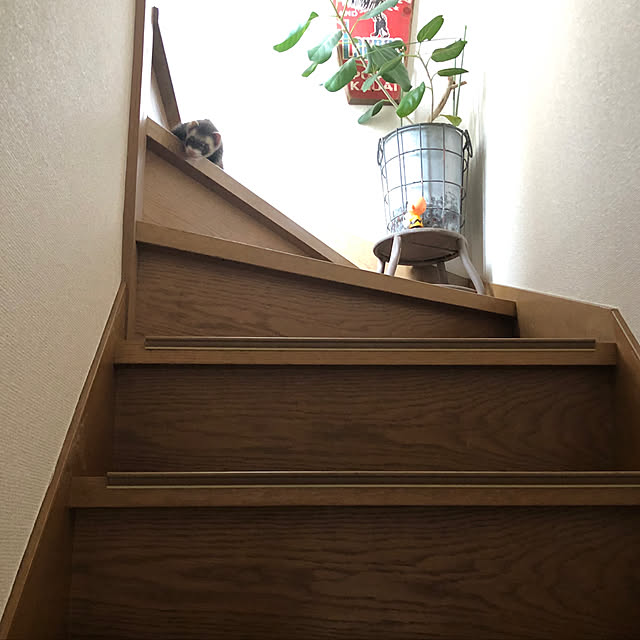 maruさんの実例写真