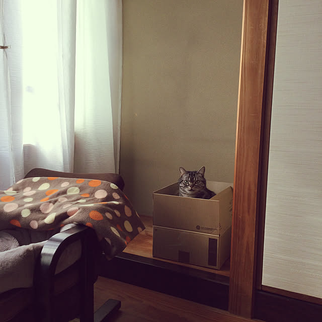 richanさんの実例写真