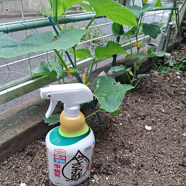 midoriさんの部屋